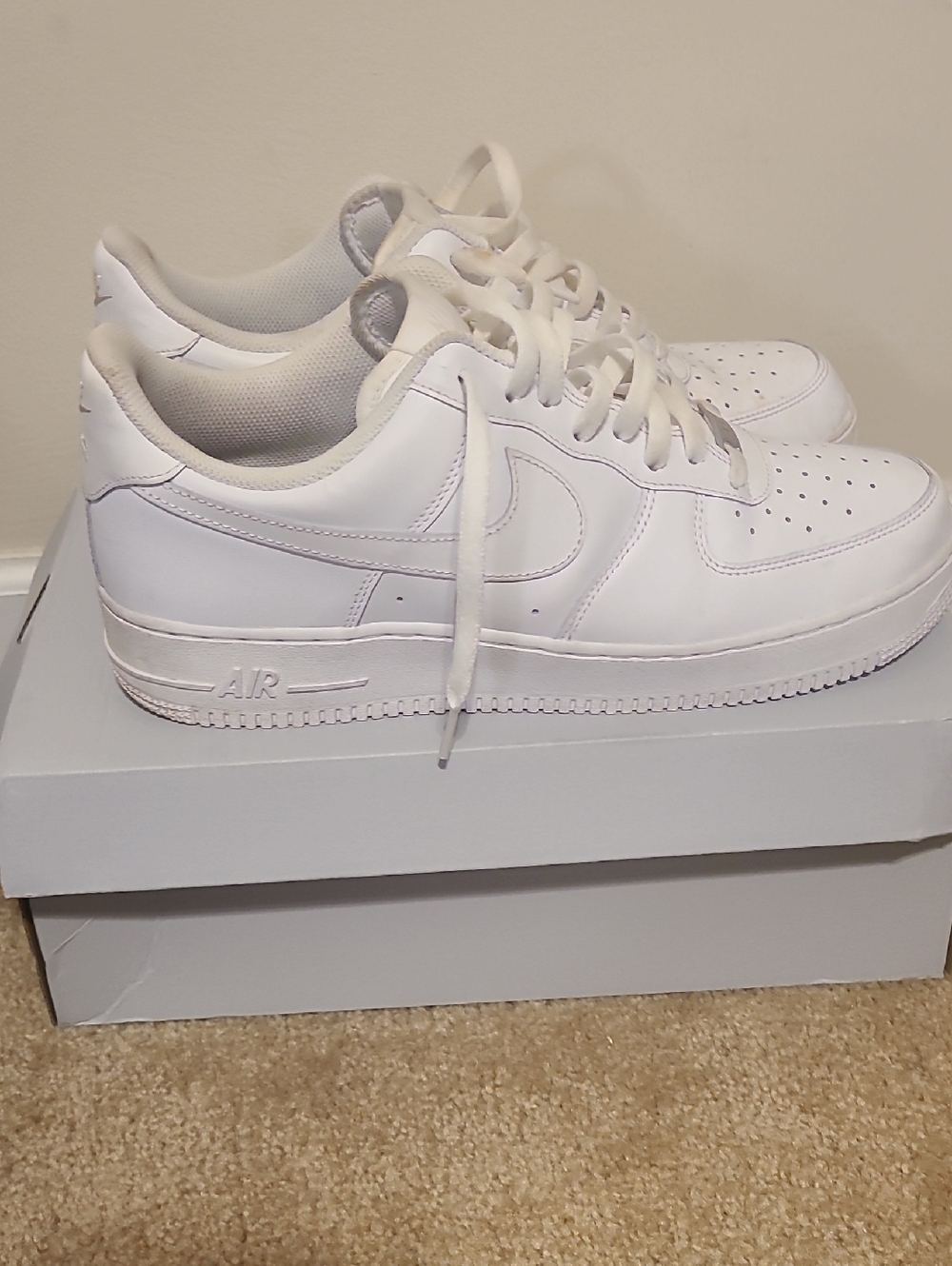 Nike All-White Low Top Sneakers
